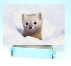 Presents Photo Easel, photo 3